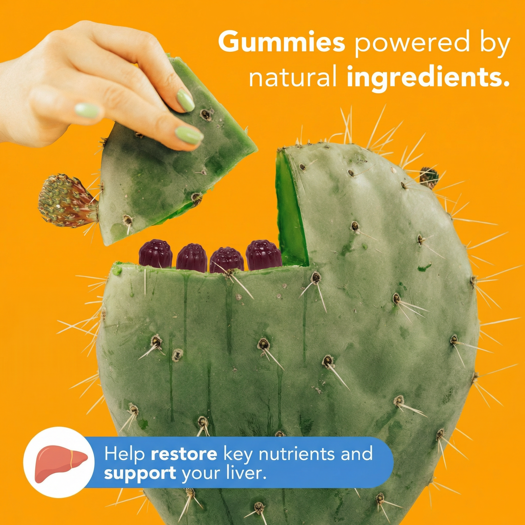 Before You Drink Gummies - 10 Pack Carton
